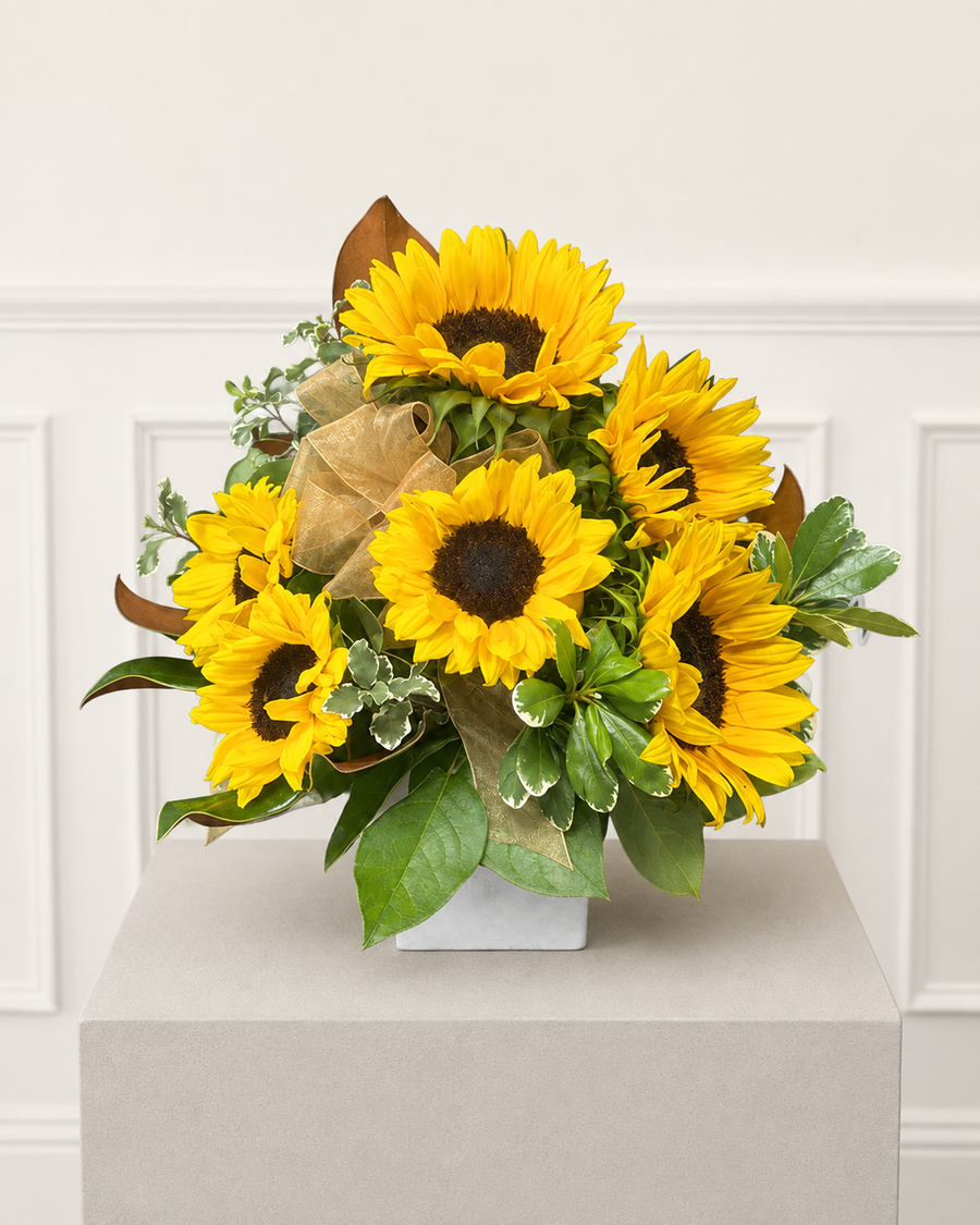 Sunflower Sunday — sunflowers with magnolia leaves, gold ribbon, in a cube vase